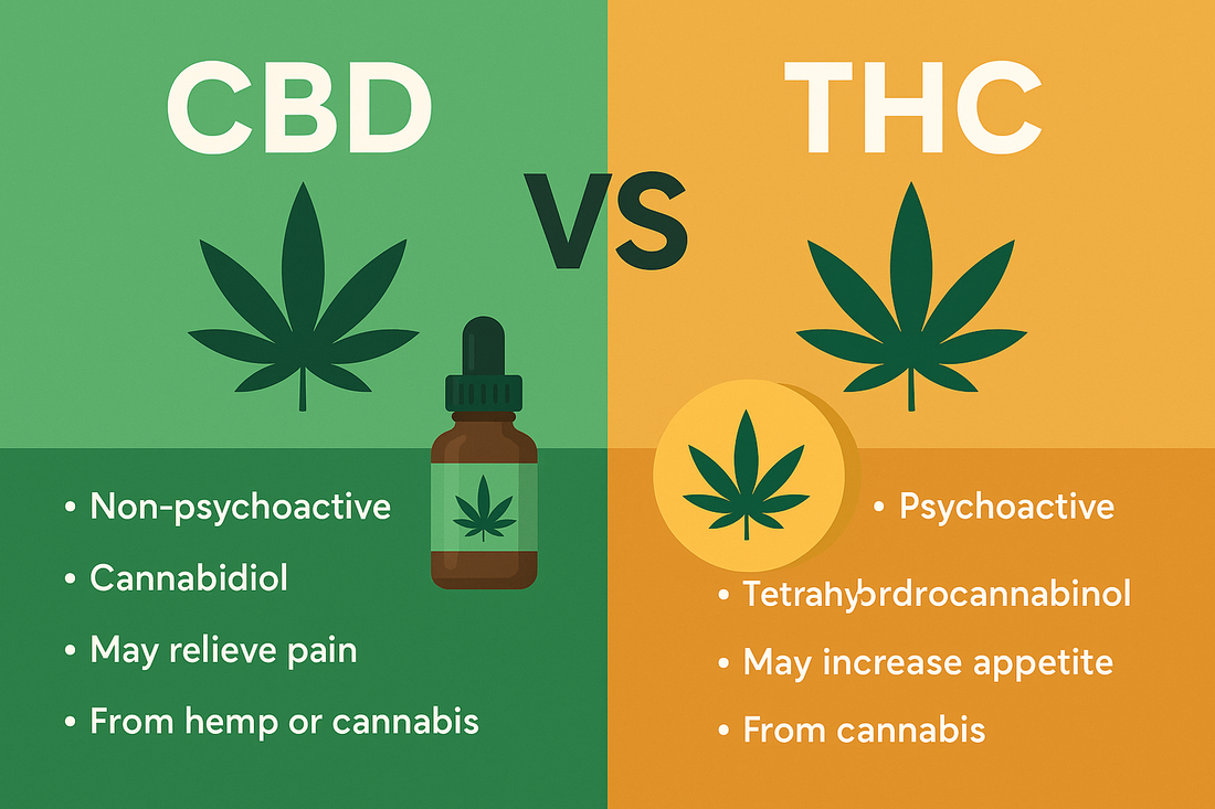 CBD vs. THC: What’s the Difference?