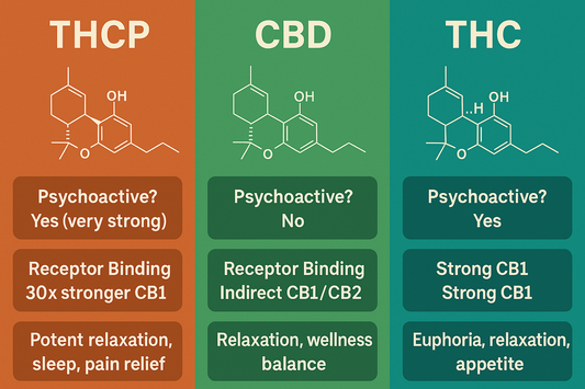 THCP Explained: Benefits, Effects & Legality in the UK
