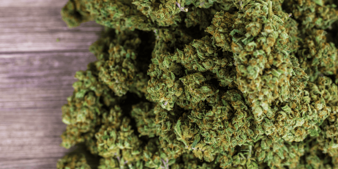CBD Regulations 2025 update