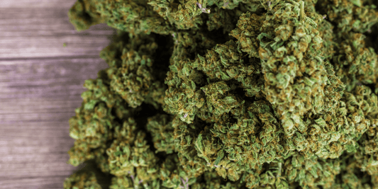 CBD Regulations 2025 update